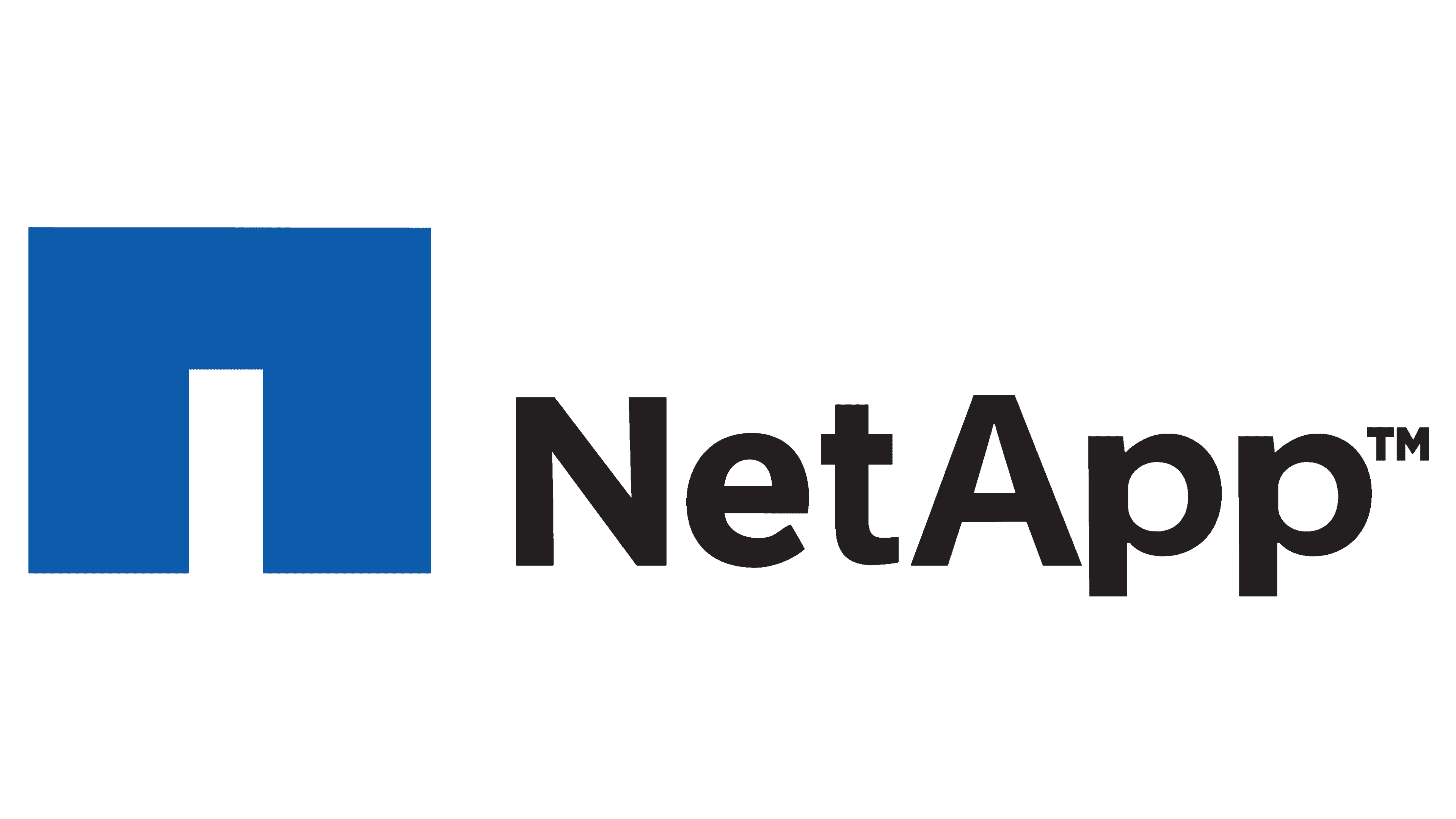 Logo - Netapp 2